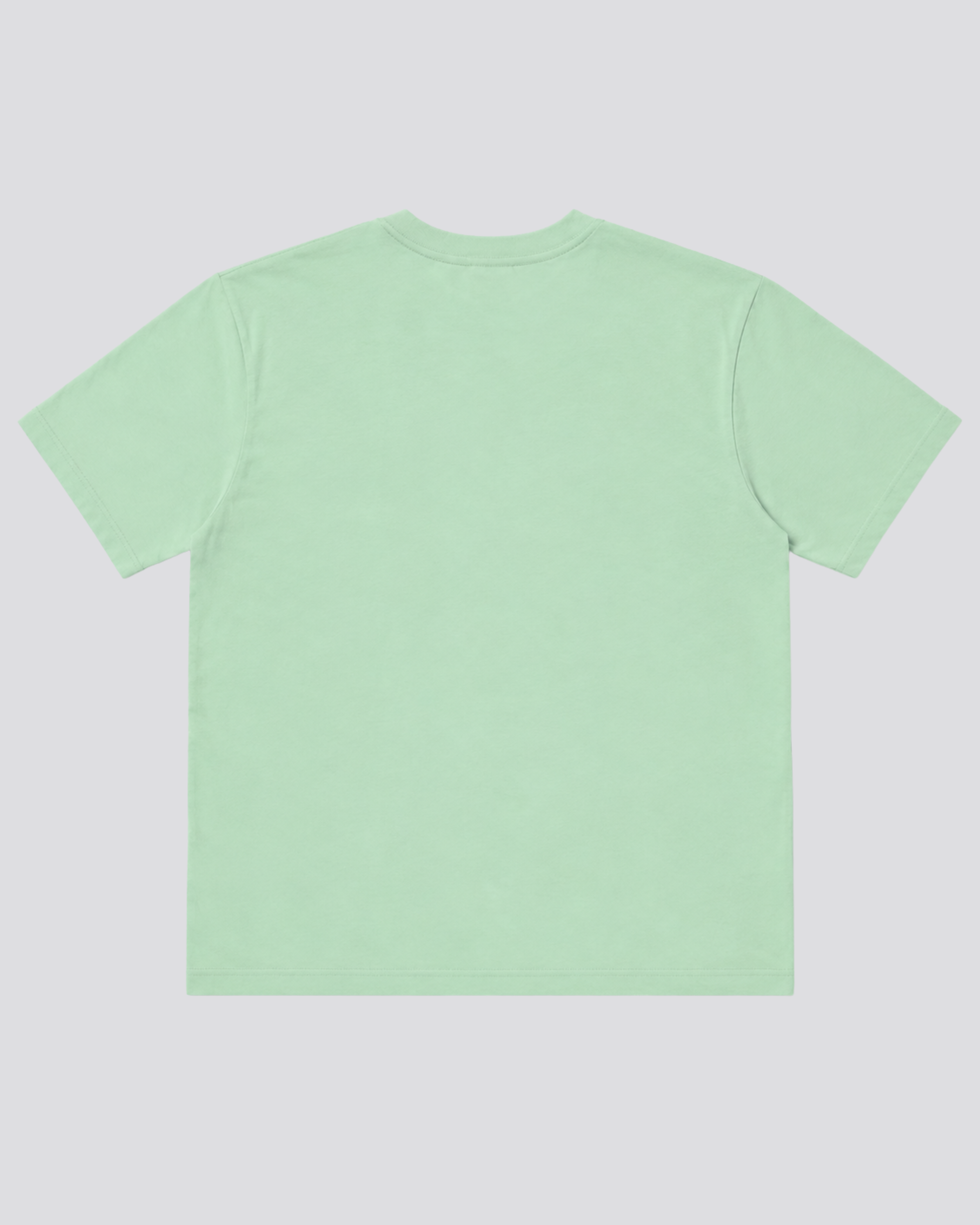 Mint Pastel - Fjordgarments